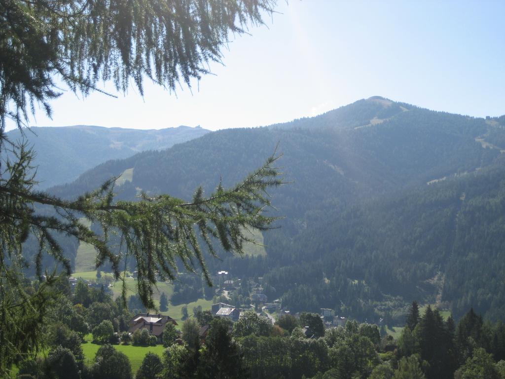 Ferienhaus Stiglitzweg Bad Kleinkirchheim Pokój zdjęcie